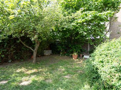 Picture 19